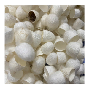 Raw <b>Silk</b> Cocoon Cotton <b>Fiber</b> Roll Natural Soft Batting Material For Quilt Pillow Duvet Inner Layer Lightweight Textile Sheet Use - Product Image 2