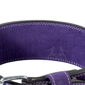 เข็มขัดยกน้ำหนักแบบคลาสสิกเข็มขัดออกกำลังกายทำจากหนังพร้อมหัวเข็มขัดที่ง่ามและแผงด้านหลังกว้าง - Product Image 5