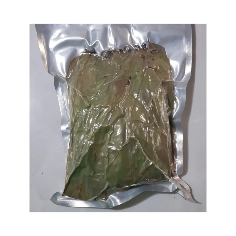 Produk teratas daun Soursop kering/daun Graviola dengan harga yang pas-pilihan terbaik grosir daun sirsak herbal alami siap kirim