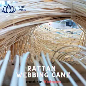 Meilleur prix 2023 canne en sangle de rotin de Blue Lotus Viet Nam de haute qualité - Product Image 1