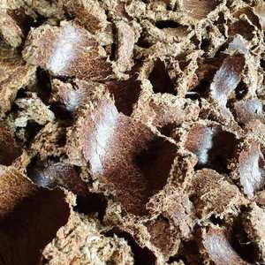 Prix d'usine vente sur gâteau de graines de coton pour poissons et bovins diverses variétés de farine de graines de coton brésil - Product Image 6