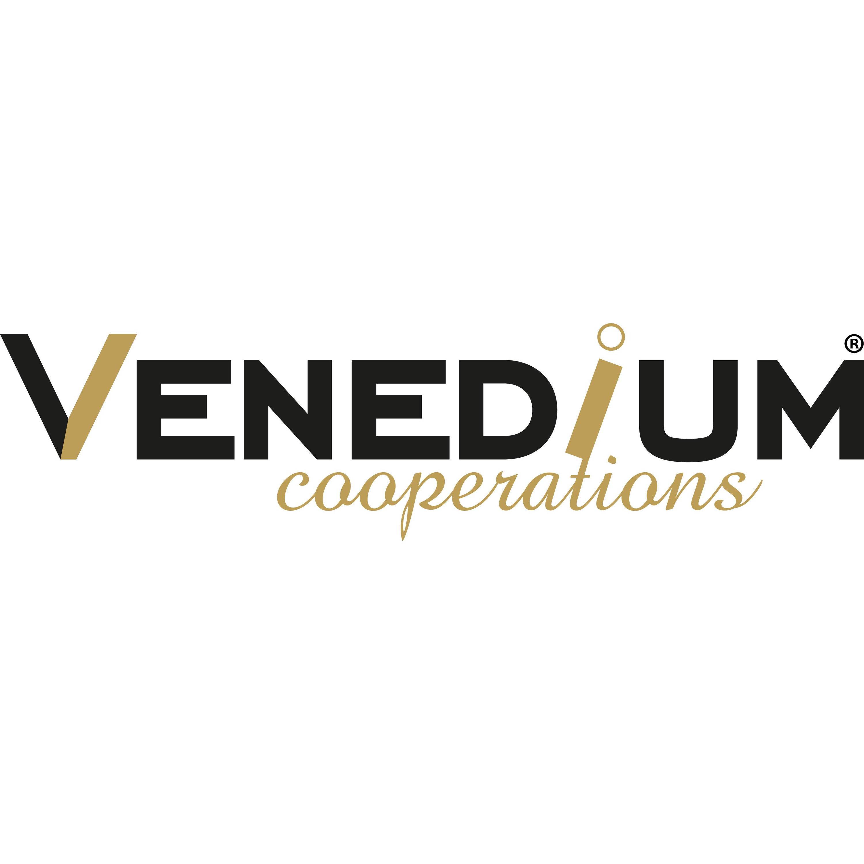 Venedium logo