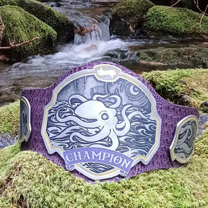 Ceinture de championnat professionnelle personnalisable, qualité supérieure, métal léger, taille personnalisée, personnalisation de la marque, logo personnalisé pour les sports - Product Image 1