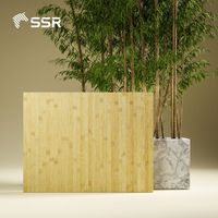 SSR VINA-Encimera de bambú-600x1800mm Hoja de bambú Encimeras de mesa Bloque de carnicero Muebles de Bambú