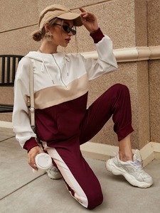 Últimos diseños de las mujeres Sudadera con capucha larga Chándal Color sólido Conjunto de dos piezas Tops bordados de invierno Precio al por mayor - Product Image 2