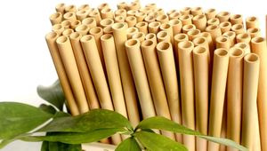Kit de pailles en bambou idéal pour le camping, best-seller - Product Image 6