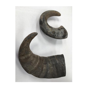 BUFFALLO HORN CARVED <b>DOG</b> ANIMAL ORGANIC MATERIAL CHEOO - Product Image 5