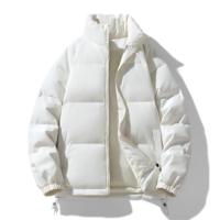 Vestes légères à col montant Conception personnalisée en gros Hommes Vestes bouffantes Mode Slim Fit Vestes bouffantes pour hommes