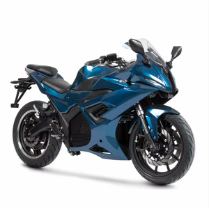 มอเตอร์ไซด์ไฟฟ้าขี่ SR6แบบคลาสสิกสำหรับมอเตอร์ไซด์ - Product Image 1