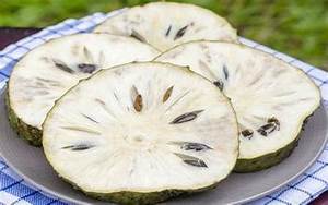 URENTA CONGELADA CON ETIQUETA LIMPIA FRUTA A BASE DE PLANTAS PURAS RICA EN VITAMINAS PARA LA SALUD DEL SISTEMA INMUNE - Product Image 5