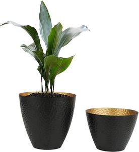 Pot de fleurs moderne en métal noir avec support doré, design minimaliste pour plantes d'intérieur - Product Image 5