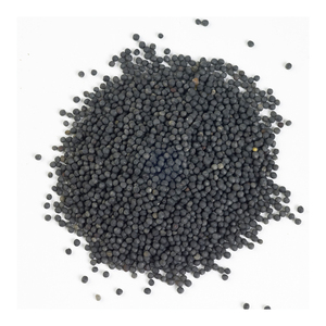 ขายเรพซีดจำนวนมากพร้อมการจัดส่งที่รวดเร็วไปยังผู้ซื้อจากต่างประเทศ - Product Image 1