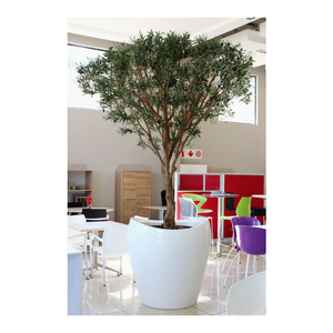 <span class=keywords><strong>Maceta</strong></span> de fibra de vidrio con forma de cilindro de peso ligero <span class=keywords><strong>gigante</strong></span> macetas de FRP alto <span class=keywords><strong>para</strong></span> interiores y exteriores - Product Image 6