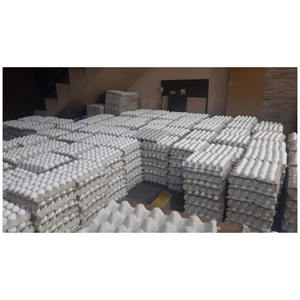 Huevos de Gallina de Granja, Venta Directa a Bajo Precio, Huevos de Gallina Blancos, Huevos de Pollo de Engorde en Venta - Product Image 2