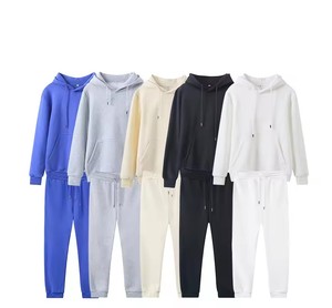 2024 nouvel ensemble de survêtement polaire Tech pour hommes couleur unie Fitness Sportswear Logo personnalisé pour l'hiver - Product Image 2