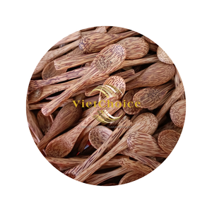 Cuchara de yogur de coco ecológica de alta calidad hecha a mano desechable Viet Choice precio al por mayor personalizado hecho Vietnam - Product Image 2