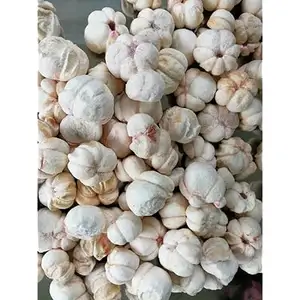 Wholesale Dried Sweet Mangosteen From Vietnam with Premium Quality - Product Image 1