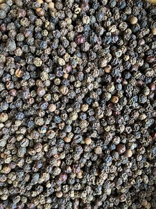 500FAQ 500 Clean 550 + Poivre noir Exportateur d'épices d'herbes séchées de la plus haute qualité 2024 disponible + 84796855283 - Product Image 2