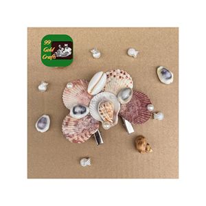 กิ๊บติดผมรูปเปลือกหอยที่สวยงามสำหรับผู้หญิงเครื่องประดับผมสไตล์ทะเลทำจากอะคริลิคสำหรับวันหยุดพักผ่อนริมชายหาดหรือใช้ในชีวิตประจำวัน - Product Image 1