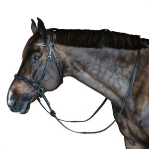 Brida Bitless cosida en crema elegante con tocado anatómico - Product Image 2