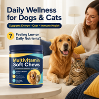 Friandises à Mâcher Bien-être Canin et Félin avec Probiotiques et Oméga-3 – Complément Alimentaire pour Animaux de Compagnie – Fabricant – Faible MOQ – Personnalisable