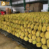 Thaise Monthong Durian, Graad A, 0,5 kg, zoet en rijk, perfect rijp voor een luxueus exotisch smaakavontuur, verpakt voor versheid.