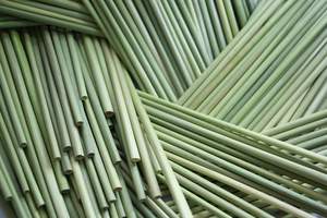 Eco-Friendly Jumbo Drinking <b>Straws</b> Biodegradable Individually Wrapped Suitable <b>for</b> Hot & Cold <b>Drinks</b> <b>for</b> Large Event - Product Image 2
