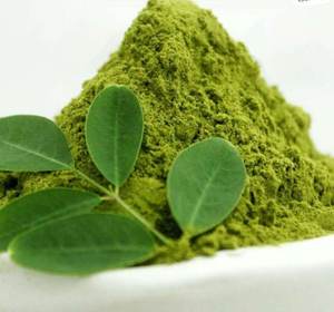 Poudre de feuilles de Moringa de qualité supérieure, superaliment indien, riche en nutriments, compléments alimentaires à base de plantes, poudre de Moringa pure et biologique fraîche, eau - Product Image 5