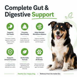 Suplemento Digestivo para Perros OEM, 1000 Unidades, Prebiótico <span class=keywords><strong>y</strong></span> Postbiótico, Masticables Suaves para Estómago Sensible, Marca Privada, Venta al Por Mayor - Product Image 4