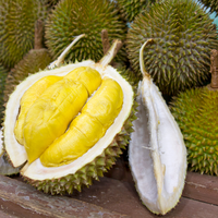 Durian Vers Fruit Bij Voorkeur Voor Veel Durian-Liefhebbers En Kinderen Verse D103 Van Vietnam Wholesale Premium Hoogwaardig Heerlijk