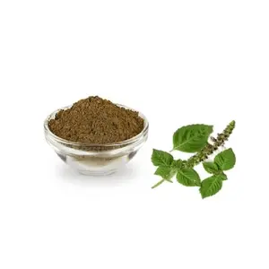 אבקה tulsi rama חווית נוחות צמחים סנסציוניים כי אבקה טולסי אבקת יכול להביא את החיים שלך