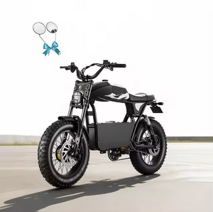 Vélo électrique DL2000 pour adultes, 2000W/4000W, 36-44 MPH, moto tout-terrain électrique, batterie lithium longue portée 90 miles, cadre en aluminium, 12 vitesses, 24 pouces - Product Image 1