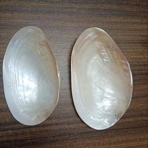 Bol décoratif en coquille de résine fabriqué à la main inspiré de l'océan plateau de pièce maîtresse accent de Table côtière pour la maison salon salle de bain décor - Product Image 1