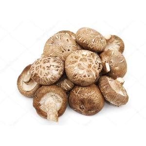 BEST SELLER Champignons Shiitake séchés du Vietnam, Viet Delta - Product Image 1