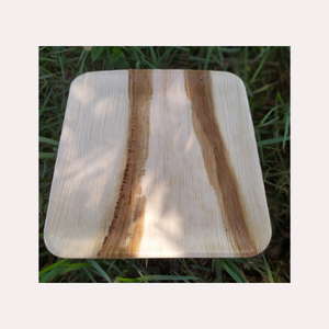 Nuevos platos de hoja de palma ecológicos para uso en picnic y cocina al mejor precio de Vietnam - Product Image 6