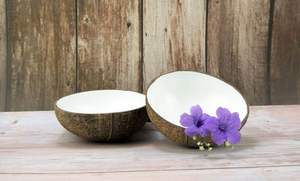 Tazón de cáscara de coco vietnamita más vendido y de alta calidad para sostener alimentos de 99 Gold Data - Product Image 4