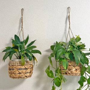 Jardinière suspendue artisanale en jacinthe d'eau, panier tressé pour l'affichage des plantes - Product Image 1