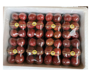 Bon prix, fruit de la passion frais, origine Vietnam - Fruit entier naturel pour les boissons et les applications aromatiques - Product Image 4