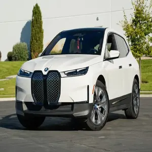 PERFECTO y LIMPIO 2024 BM-Ws I.X CARRS - Product Image 1