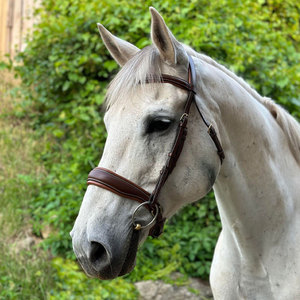 Encantadora brida Joya Snaffle que combina las correas de las mejillas con un tocado de forma anatómica levantado con acero inoxidable - Product Image 6