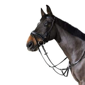 กีบทางกายวิภาคได้รับการพัฒนาร่วมกับผู้เชี่ยวชาญด้านสุขภาพขี่ม้า - Product Image 4