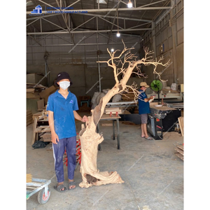 ไม้2025ขนาดใหญ่ที่ยั่งยืนสำหรับตู้ปลาและอุปกรณ์เสริมจากผู้ผลิตเวียดนาม - Product Image 6