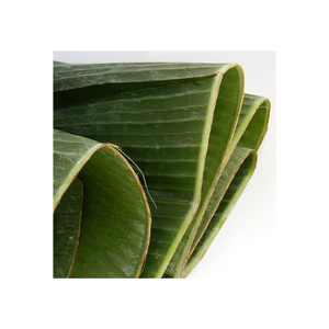 ผลิตภัณฑ์ใบตองแบบธรรมชาติกลมกลืน/ใบกล้วยแบบใช้แล้วทิ้ง-ใบตองส่งออกในเวียดนาม - Product Image 1