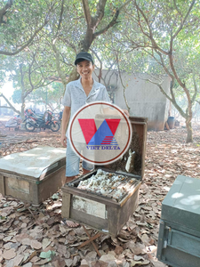 Miel de flores de café Premium de Vietnam - 100% puro y natural para exportación y venta al por mayor - Product Image 4