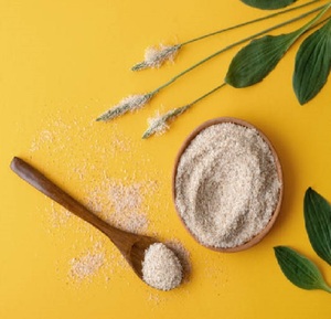 Organic High Purity Psyllium Husk Powder Food Grade Seed <b>Extract</b> From Wild Cultivation Export Quality From India - Product Image 4