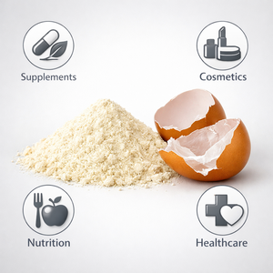 Eierschalenmembranpulver mit hohem Proteingehalt |   Lieferant für Kollagen- und Chondroitin-reiche Eiermembranen | Ernährung, Nahrungsergänzungsmittel & Kosmetische Anwendung - Product Image 3