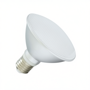13W PAR 30 LED <b>Bulb</b> - Product Image 2