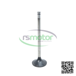 Válvula de Admisión Original OEM para Motor de Gas Natural MWM RS-12372445, Piezas de Motor - Product Image 2