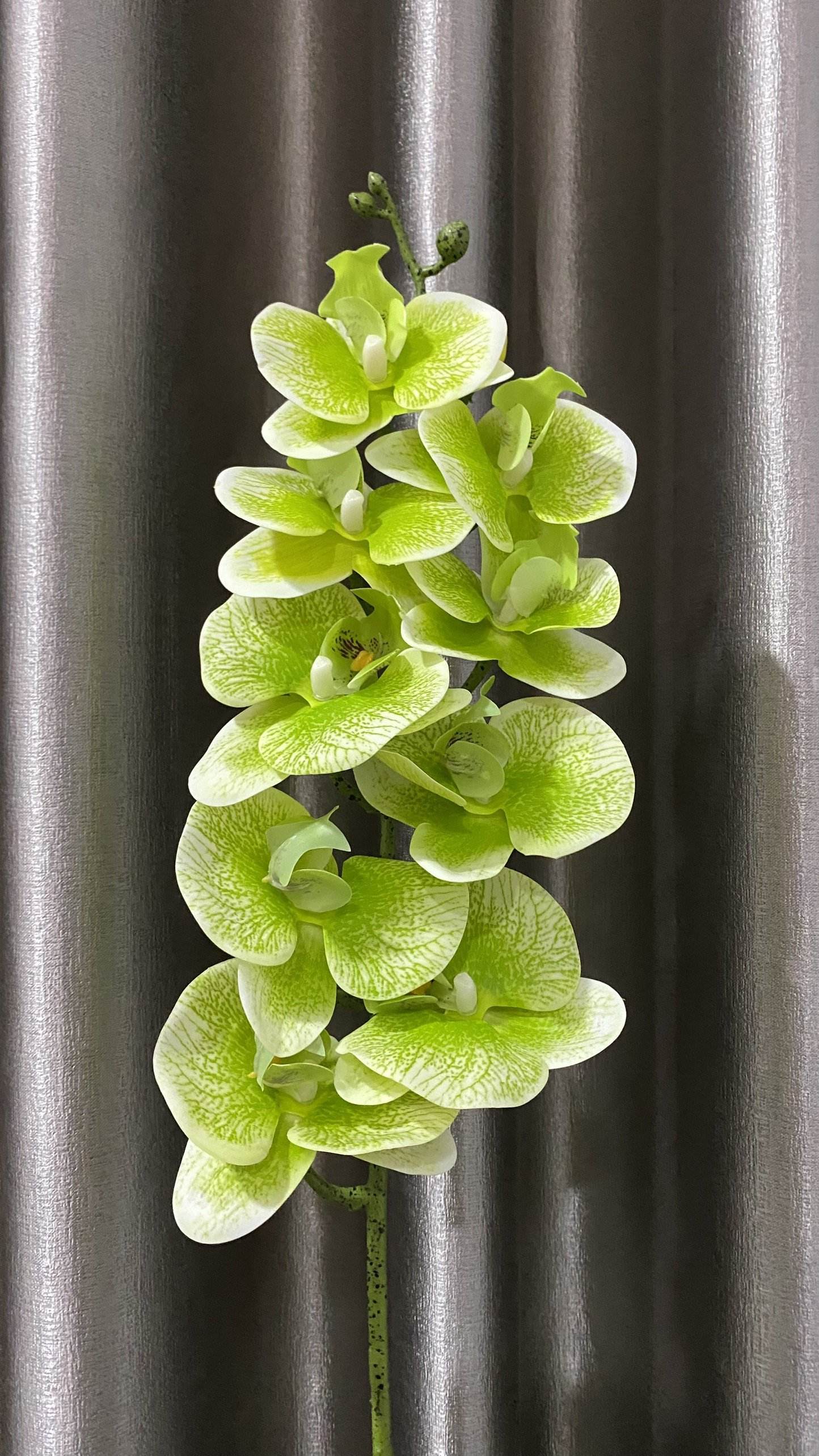 สีเขียว