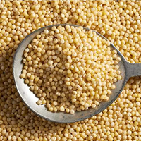VENTE EN GROS DES GRAINS DE MILLET PUR PROPRE NUTRITIF DES CÉRÉALES DE QUALITÉ D'EXPORTATION EN VRAC